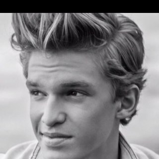 Dogwithablog123's profile picture. 