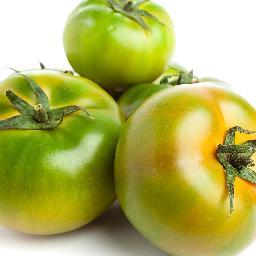 Medical Cannabis News