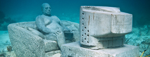 tiamoyo's profile picture. 