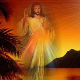 blancaiacevedo's profile picture. 