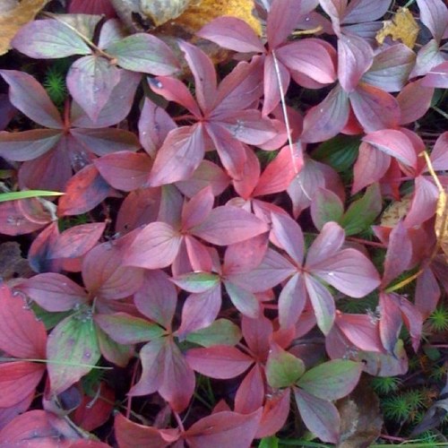 B_r_e_n_d_a_R's profile picture. 