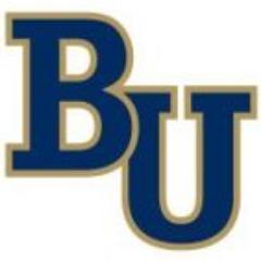 Official Account of the Bethel University Men's Lacrosse Team