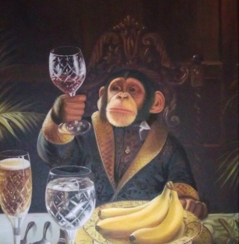 KootDave's profile picture. 