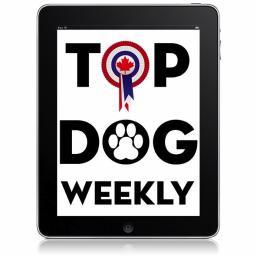 Where the World's Top Dogs Come to be Seen!