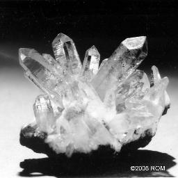 Walker_Minerals's profile picture. The Walker Club encourages interest in and the study of mineralogy and allied sciences, through monthly meetings, field trips, and student awards.