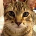 Anna Genco - @annag623 - Twitter