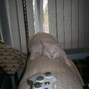 Robert Oles - @OlesRobert - Twitter