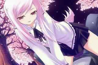 Hey,I'm the representative of California! But, please call me Alexis~. Yes,that means I'm realated to America. Also- oh is that Canada?! #OC #Single #RP