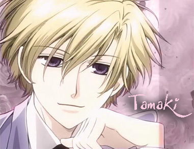 Hello princess, Your eyes shine as bright as the morning sun! I'm Tamaki, The Princely type and the King of the Host Club!
