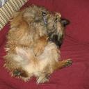 dave ebeling - @velochef1 - Twitter