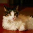 Scott Smith - @SirScoots - Twitter