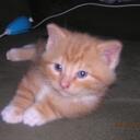 morgan mckee - @mmckee5883 - Twitter