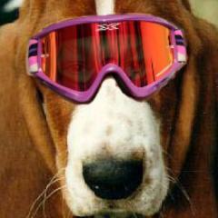 thehumblesteve's profile picture. This account is for the humble Steve Matthes. Three of his four Manitoba titles actually live here.