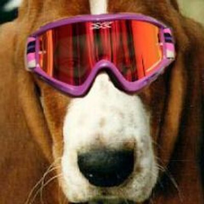 Profile Picture of Fake Steve Matthes (@thehumblesteve) on Twitter