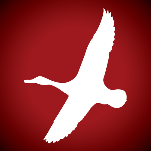 Visit American Waterfowler Profile