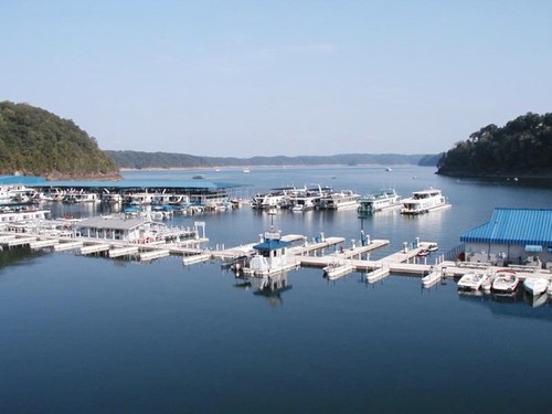 cwegzz's profile picture. 