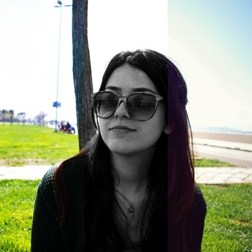 SudeKurol's profile picture. 