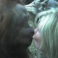 katfishsas (@katfishsas) 's Twitter Profile