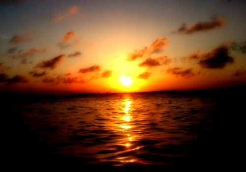 Iruam29's profile picture. 