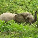 Chris Maas - @cecilkop_friend - Twitter