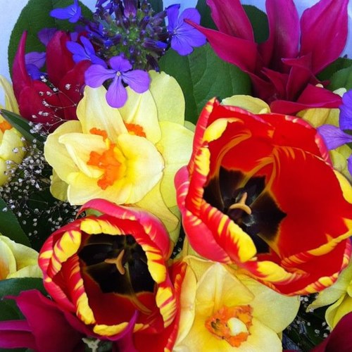 Ihilani67's profile picture. 