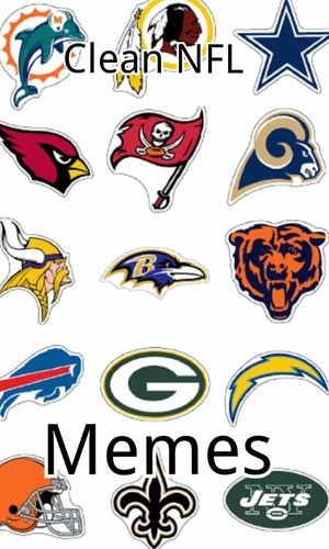 CleanMemesNFL's profile picture. 