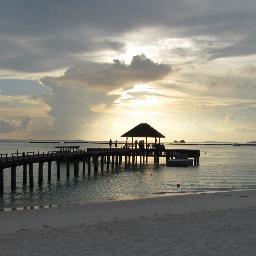 worldwind's profile picture. 