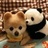 oms9900's profile image