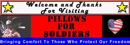 pillowsforsoldi's profile picture. Founder/President of Pillows For Soldiers, Inc, non-profit military support organization