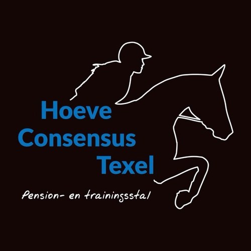 Pensionstal op Texel, vlakbij bos en strand | Vakantiehuis en stallen beschikbaar | pony-rijles voor kids | paardendekens wassen