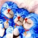 Lee Yoon Jin - @ilovemsduyen - Twitter