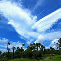 skyrain 맞팔 100% (@whitekim30141) 's Twitter Profile