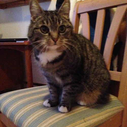 LiveHaaland's profile picture. 