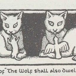 lallator's profile picture. Sono un veterinario e sono pure arrabbiata. Lo Stato ci massacra, i clienti scappano senza pagare perche non e' una professione ma una missione e i cani mordono