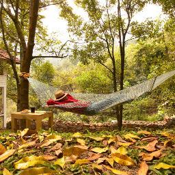 The Kurumba Village Resort is a rare aromatic arena having self-sufficing cottages amidst a SPICE haven.We invite you to share your views.