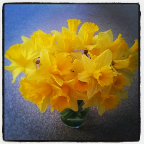 sd21st's profile picture. 