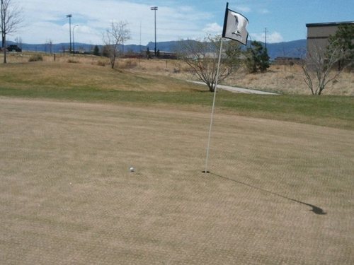 Hi, I'm Ethan. I love to golf, work on computers/software and play video games. I'm 33 years old and if you wanna get to know me just follow!