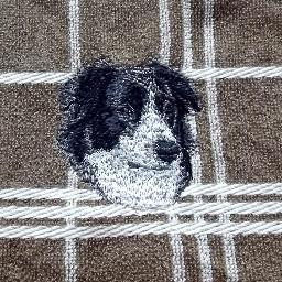 Expert Crafter, Partner in Craft people. http://t.co/NDr59vJkds. Also selling handmade crafts on Ebay and Etsy