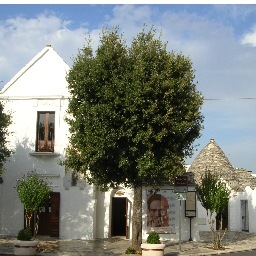 SylvaTour's profile picture. L’ass. Sylva organizza tour guidati, culturali ed ambientali, alla scoperta di Alberobello e del territorio circostante. Per info: http://t.co/Y3Tnlr2OW9