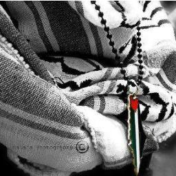 LaithHalboni's profile picture. 