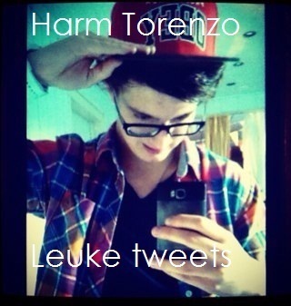 Harm Vereijken