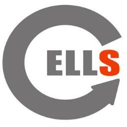 C.E.L.L.S. is a Merseyside based organisation that provides youngsters with an understanding of the consequences of anti social behaviour and crime.