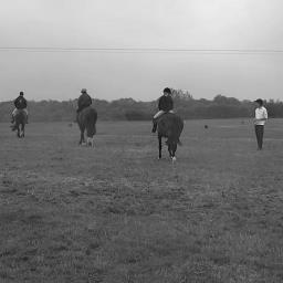 btequineservice's profile picture. Freelance instructor/coach available to teach a wide variety of lessons tailored to the individual clients requirements.