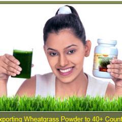 Wheatgrass powder is a natural food supplement which provides remedy for many diseases. Girme's Wheatgrass provides the best source of getting organic product.