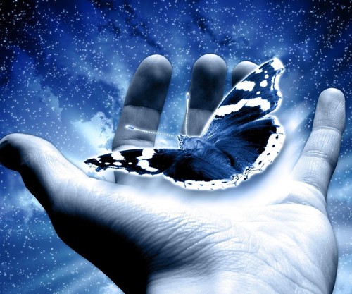 bloufairy's profile picture. love music and dancing and tattoos!!