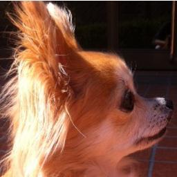 Ryo1oo7's profile picture. ( ( ((:[▓▓] ｵﾌﾄｩﾝ!