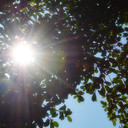 Joy - @Joy__Jean - Twitter