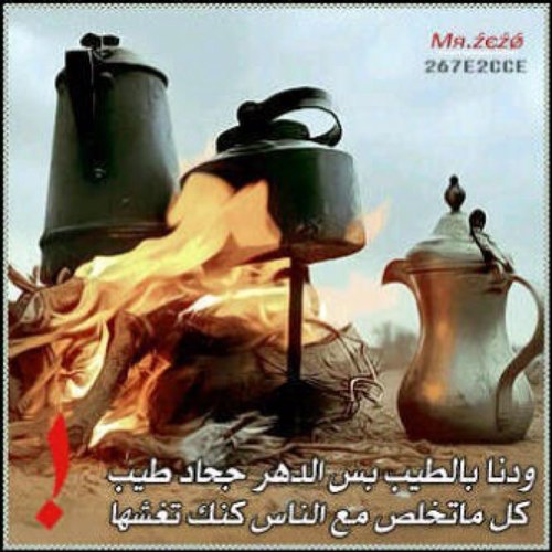 pppp4196's profile picture. 