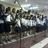 conservatorio4's profile image