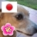 ワクチン打ってません。母が反対を押し切って2回接種後、身体中に湿疹ができて、解毒の毎日を送ってます。